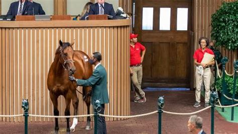 keeneland sales results|2021 September Sale .